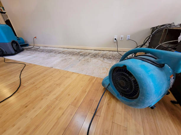 Professional Water Extraction technician working in Randallstown, MD